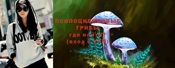 сатива Алексин