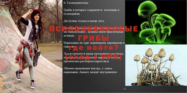 дживик Алзамай