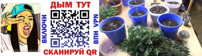 Канабис LSD WEED Елизово